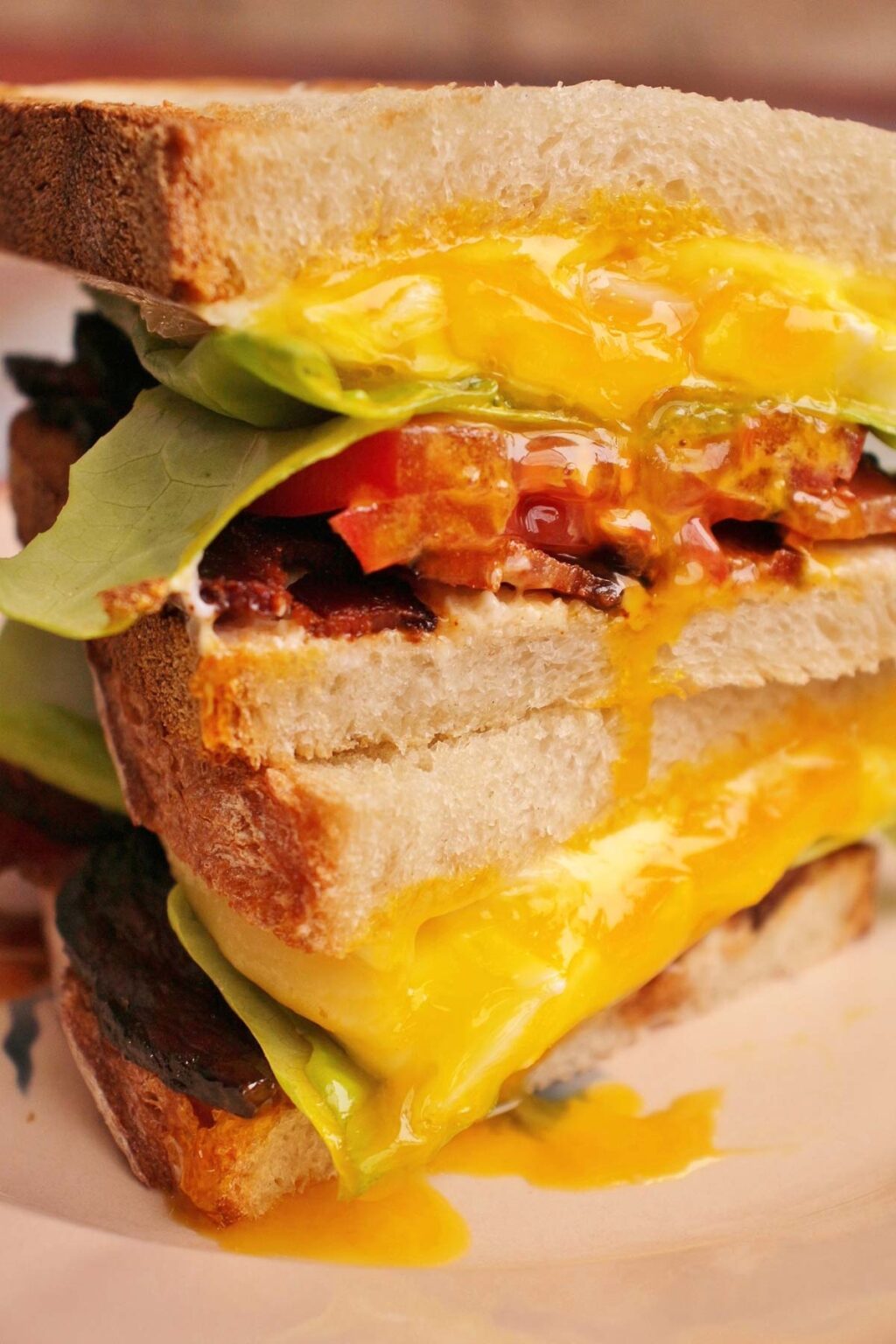 World's Greatest Sandwich from Spanglish (BLT with Egg and Cheese