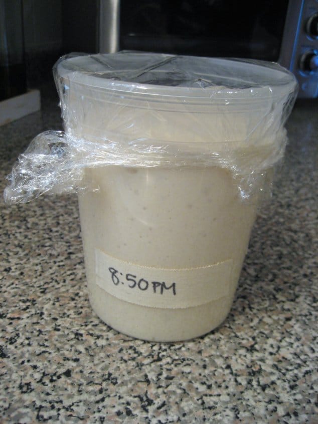 a plastic quart container filled with bread starter that has expanded almost to the top