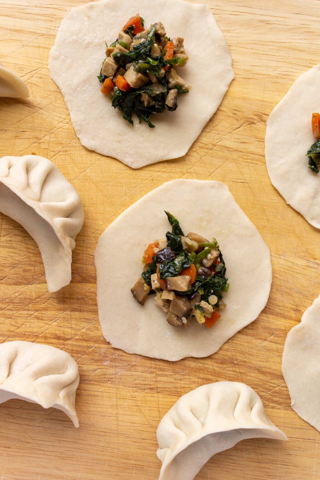 Vegetable Dumplings (Vegetarian Potstickers) Mission Food Adventure