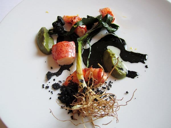 overhead view of a white plate with lobster pieces, squid ink, and a scallion with roots
