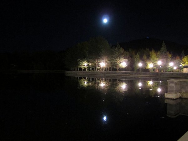 nighttime view of a lake with the reflection of the moon, lamps, and trees