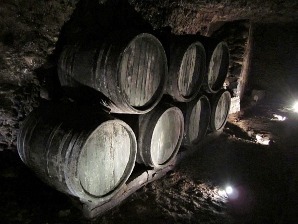 a dark room with wooden barrels lining a wall