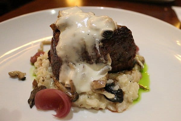 filet mignon steak with creamy sauce served on top of mushroom risotto