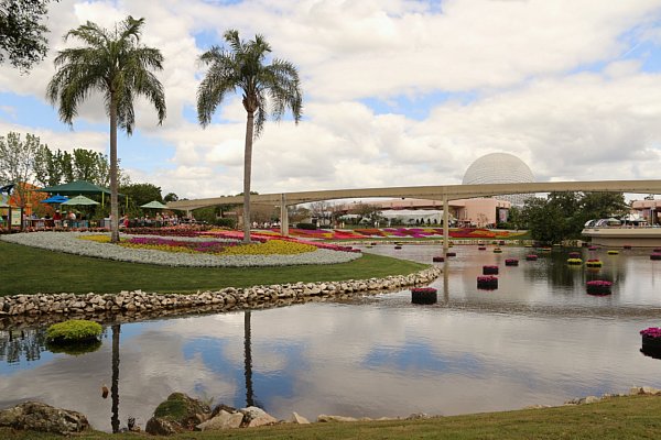 A group of palm trees next to a body of water