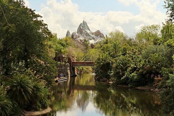 A body of water surrounded by trees with a mountain in the distance