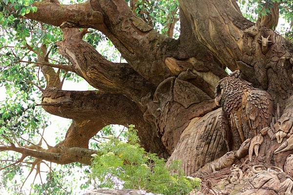 a carving of an owl on a large tree