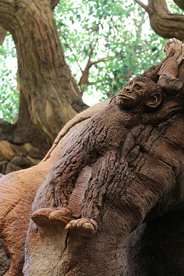 A carving of a monkey on the Tree of Life