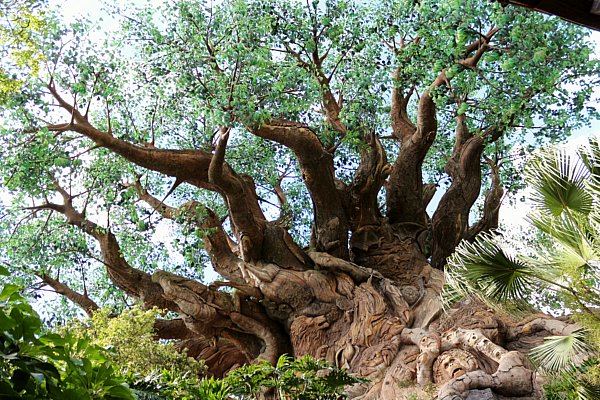 the Tree of Life with various carvings of animals over it\'s trunk and limbs