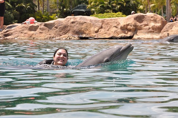 A woman riding on a dolphin\'s dorsal fin through the water