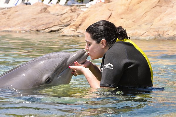 A woman kissing a dolphin in the water