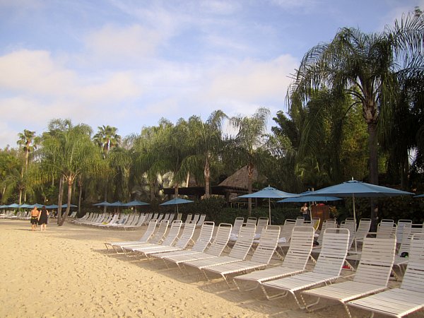 A group of palm trees and lounge chairs on a beach