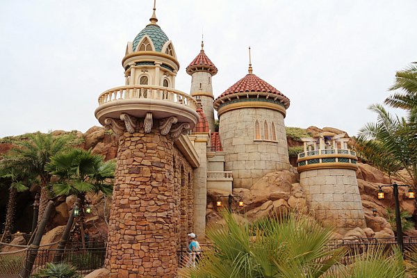 a fictional castle in Disney World with various towers and palm trees on either side