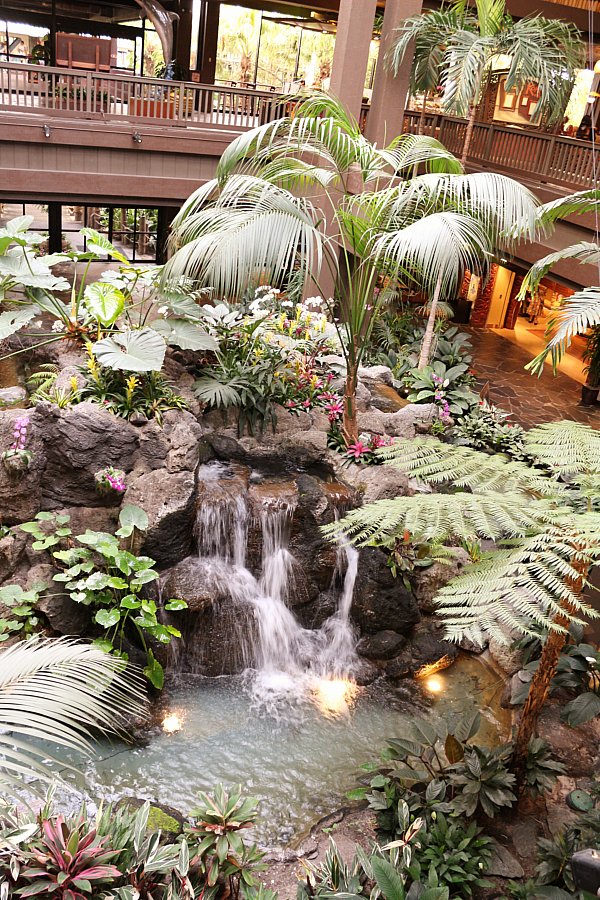 a small waterfall surrounded by plants and small palm trees