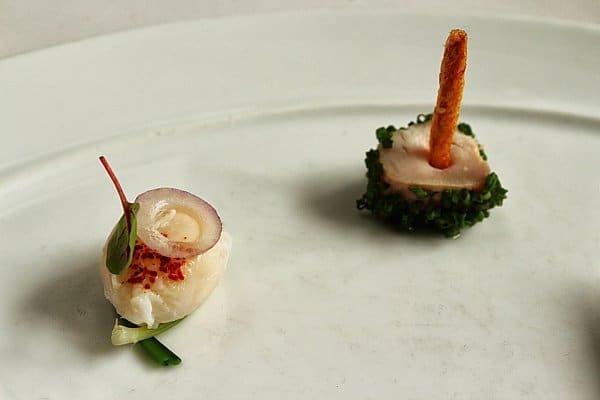 two small bites of food on a plate with herbs and an onion slice