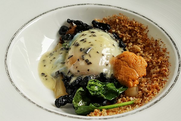 a poached egg with breadcrumbs and greens in a white dish