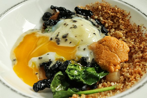 a closeup of a poached egg with egg yolk oozing out