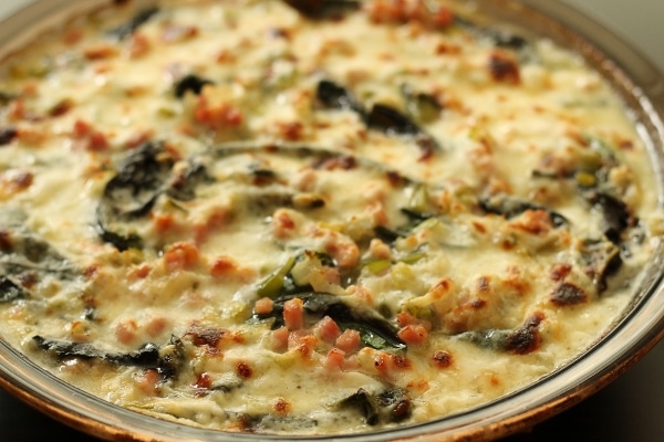 closeup of a bubbly creamy gratin with pieces of diced ham and Swiss chard peeking through