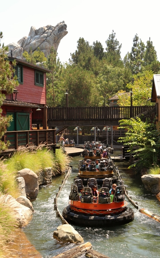 a row of round rafts floating down a river in a roaring rapids type ride