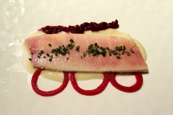 a fish fillet over a white puree with rings of red pickled onion