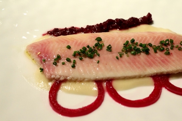 a closeup of a fillet of fish over a white puree with red pickled onion