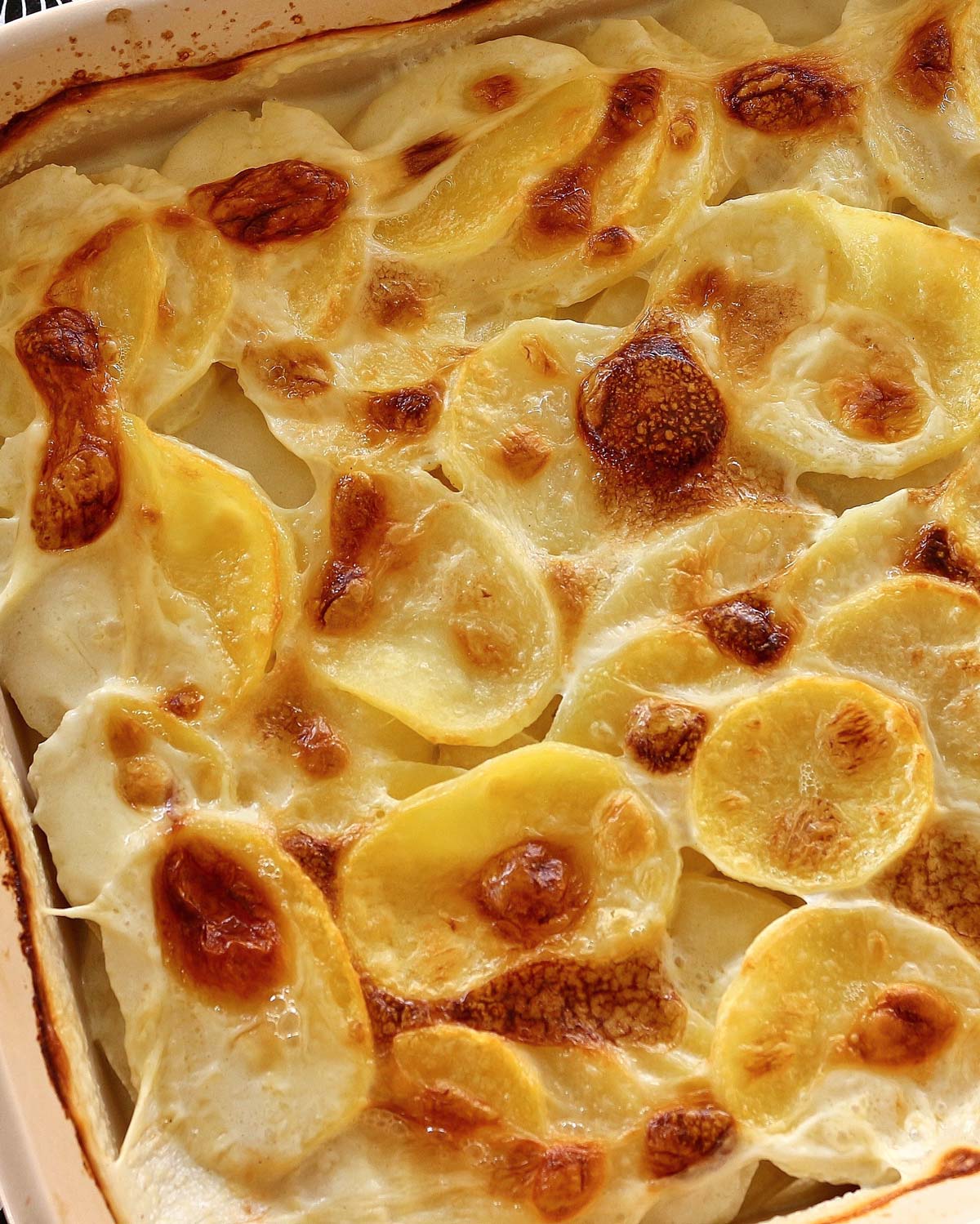 Closeup of French potato gratin dauphinois with bubbly browned top in a casserole dish.