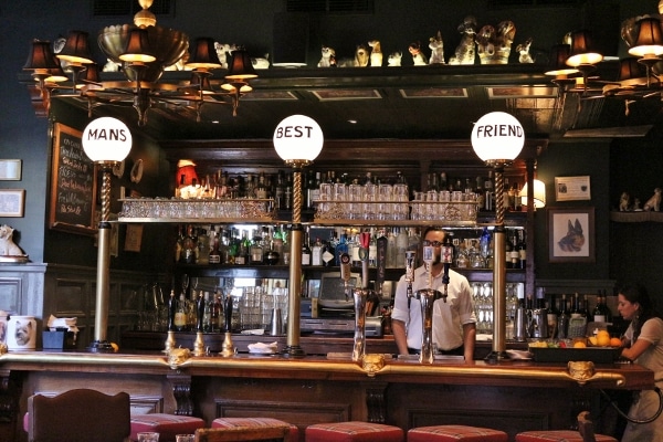 closeup of a bar that says Mans Best Friend on large lights overhead