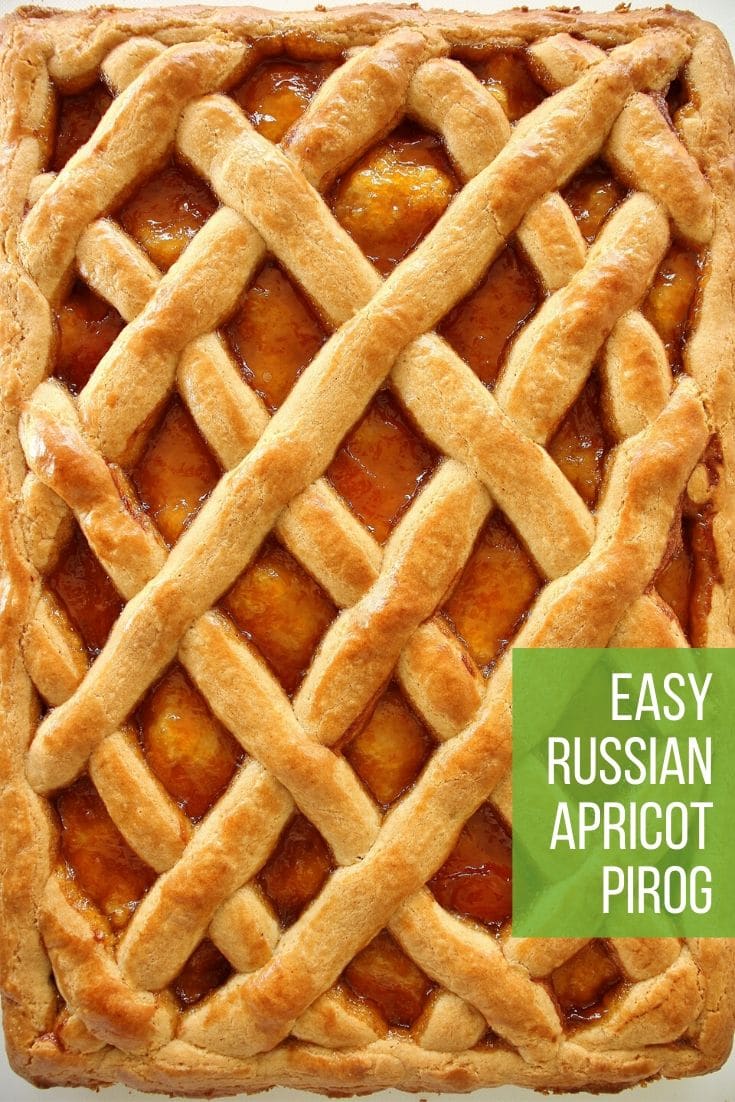 Russian Pirog with Apricot Preserves - Mission Food Adventure
