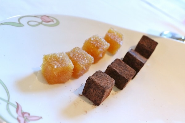 small cubes of chocolate and fruit dessert on a white plate