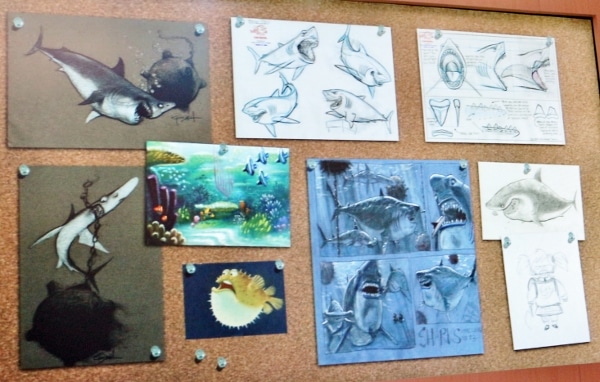 drawings of sharks on a cork board