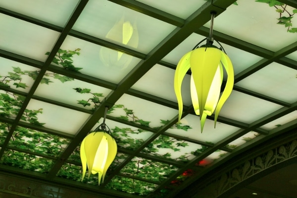 flower shaped pale green lights hanging from a ceiling