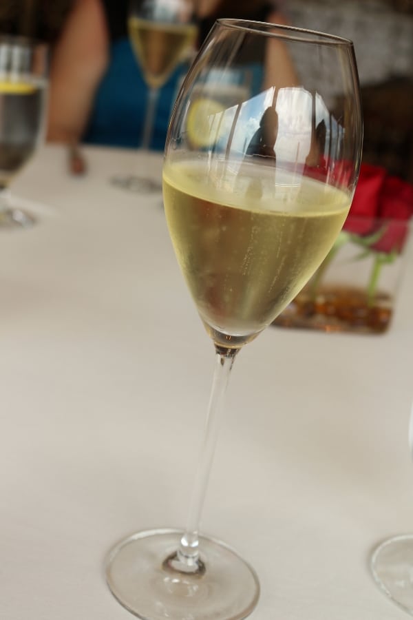 a closeup of a glass of sparkling white wine