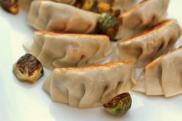 a closeup of pan-fried dumplings on a white plate with roasted brussels sprouts