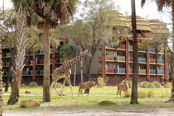 A group of zoo animals grazing in front of a building