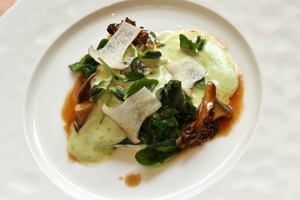 a light green sauce on a plate with mushrooms and steamed greens