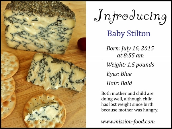 a baby announcement style photo of a wheel of blue cheese