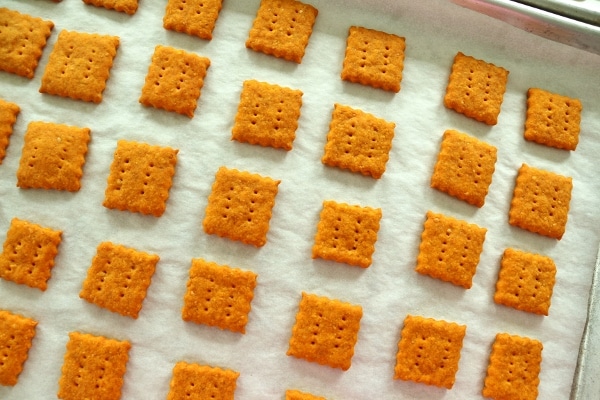 overhead view of homemade cheddar cheese crackers on a baking sheet