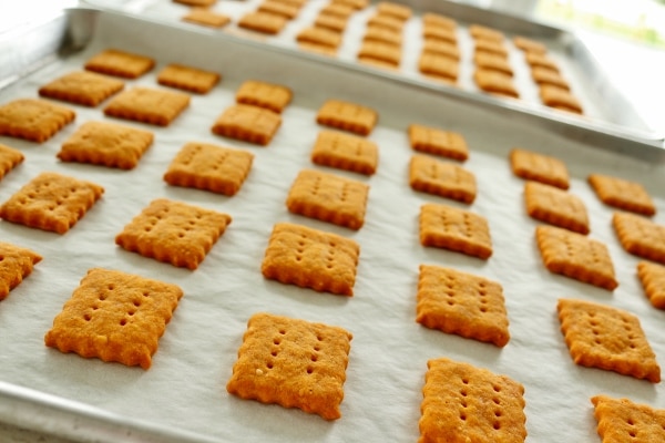 two baking sheets of homemade cheddar cheese crackers