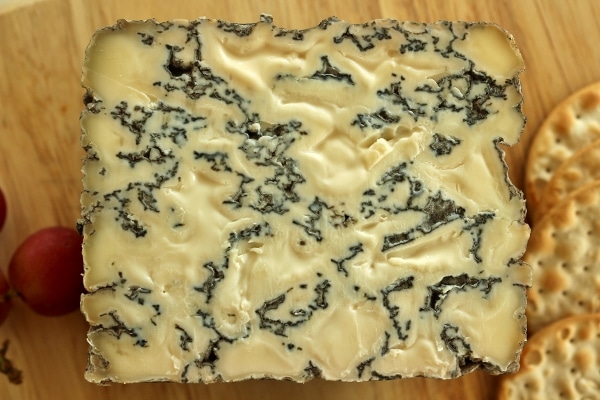 A close up of a cross-section of a small wheel of stilton cheese