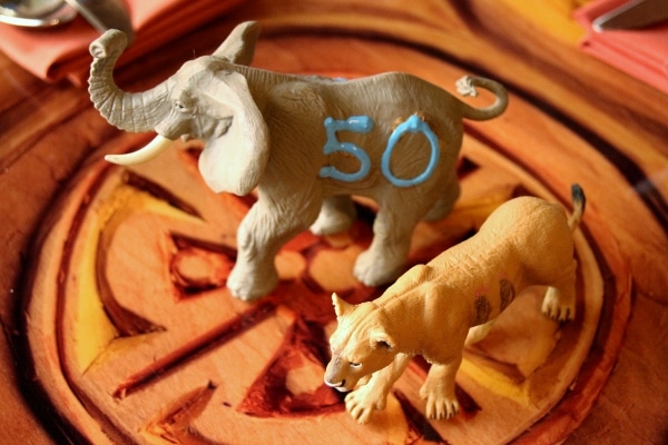 A closeup of animal figurines with numbers painted on them