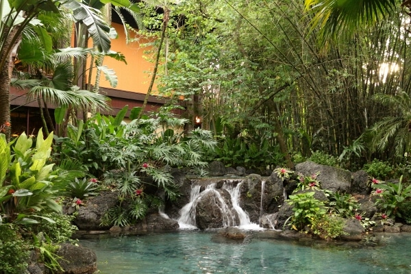 A small waterfall flowing into a pond with lots of trees and bushes around