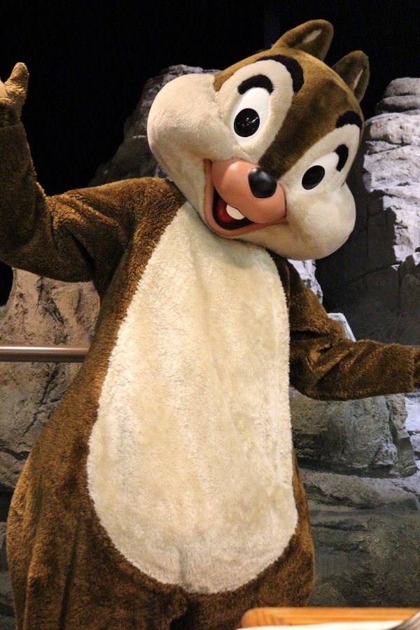 Chip from Chip and Dale