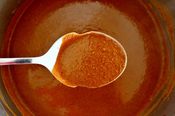 A close up of a spoonful of mole sauce