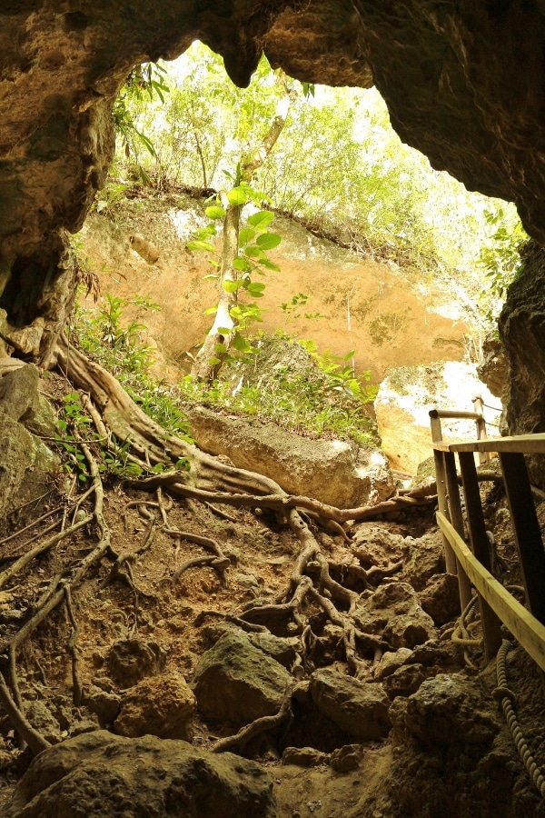 view looking out the entrance of a cave