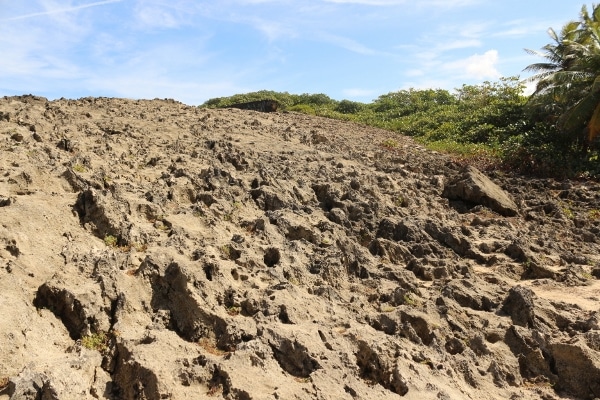 A rocky landscape