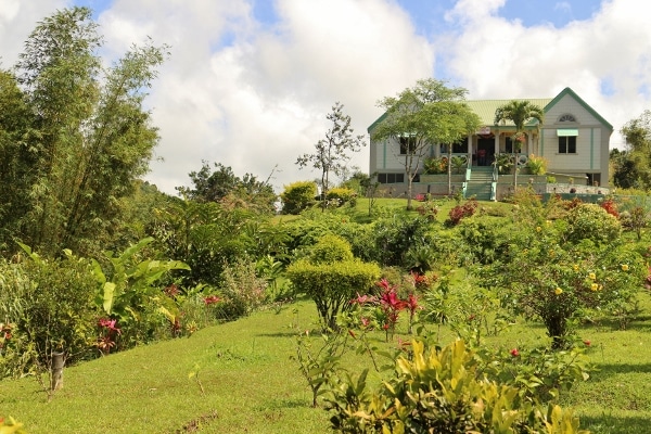 A garden with colorful plants and trees, and a house in the distance