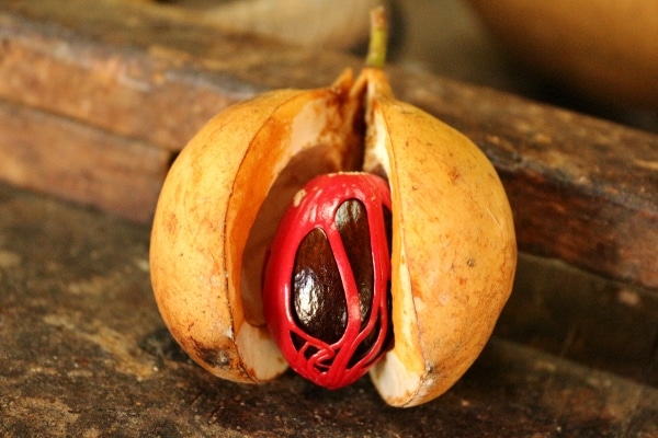 A close up of a nutmeg fruit cut open to show the inside