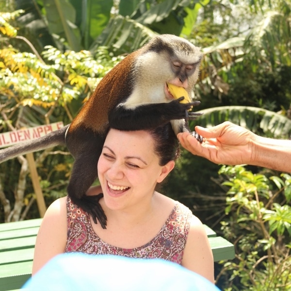 A monkey sitting on top of a person\'s head