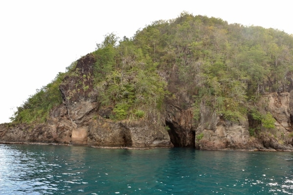 a small lush island with caves in one side