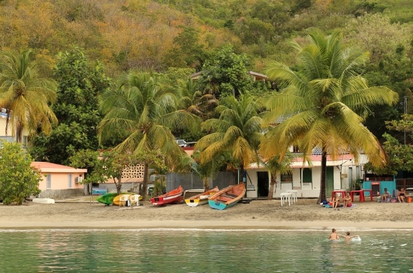 view of a remote tropical beach with palm trees and small colorful boats on the shore