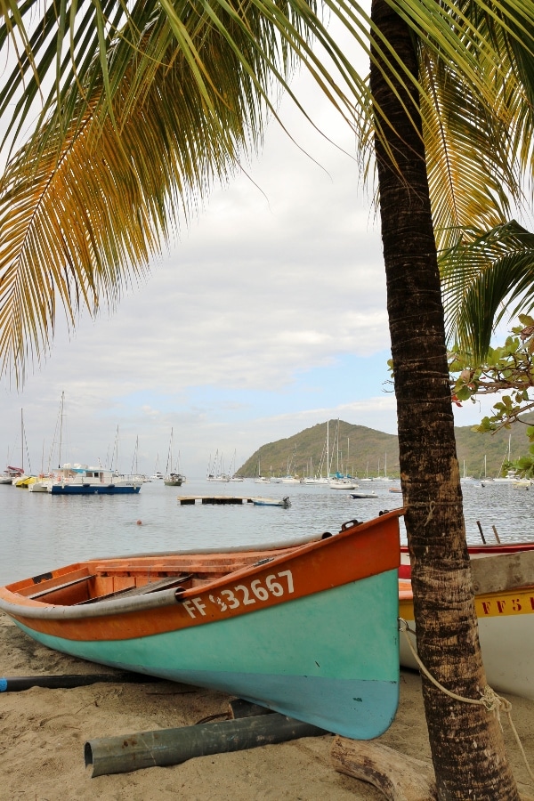 A boat sitting on top of a sandy beach beneath a palm tree